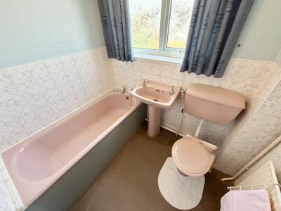 Picture 11